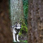 New Law Tries to Curtail Preditory Lenders From Destroying Neighborhoods